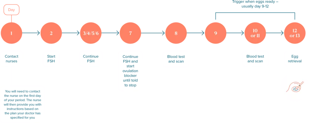 การแช่ฝากไข่