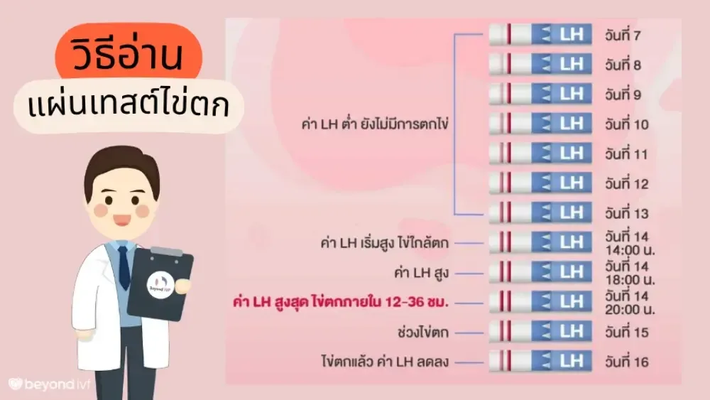 ชุดตรวจการตกไข่